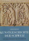 Kunstgeschichte der Schweiz. Vol. 1
