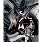 BETWEEN ACTION AND THE UNKNOWN - THE ART OF KAZUO SHIRAGA AND SADAMASA MOTONAGA