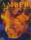 Amber: window to the past.