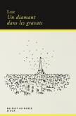 UN DIAMANT DANS LES GRAVATS