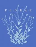 FLORAE, LE TEMPS DES FLEURS