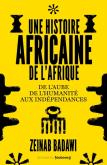 UNE HISTOIRE AFRICAINE DE L\