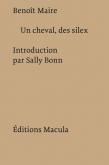 UN CHEVAL, DES SILEX