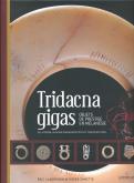 TRIDACNA GIGAS, OBJETS DE PRESTIGE EN MÉLANÉSIE DE LA PÉRIODE LAPITA AUX CHASSEURS DE TÊTE