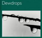 DEWDROPS. MADDEL FUCHS