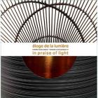 ELOGE DE LA LUMIERE - PIERRE SOULAGES - TANABE CHIKUUNSAI IV
