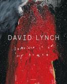 DAVID LYNCH SOMEONE IS IN MY HOUSE