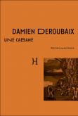 DAMIEN DEROUBAIX  UNE CABANE