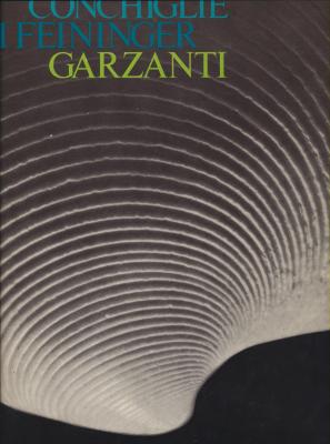 conchiglie