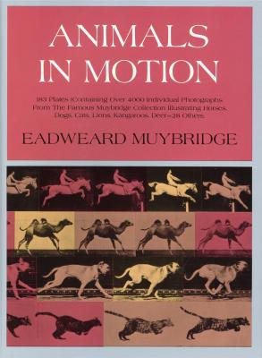 animals-in-motion-by-eadweard-muybridge