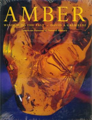 amber-window-to-the-past-