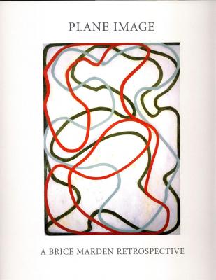 plane-image-a-brice-marden-retrospective-