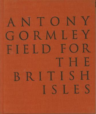 antony-gormley-field-for-the-british-isles-