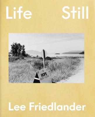 lee-friedlander-life-still