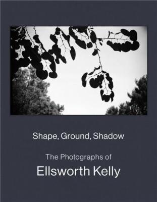 shape-ground-shadow-the-photographs-of-ellsworth-kelly
