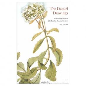 the-dapuri-drawings-alexander-gibson-and-the-bombay-botanic-gardens