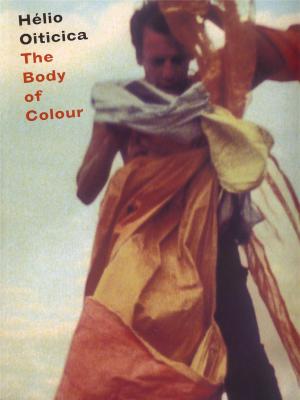 helio-oiticica-the-body-of-colour-anglais