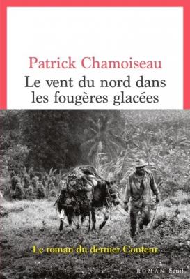 le-vent-du-nord-dans-les-fougeres-glacees