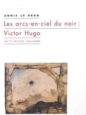 les-arcs-en-ciel-du-noir-victor-hugo