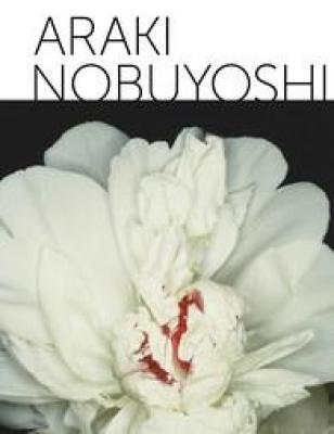 araki-nobuyoshi