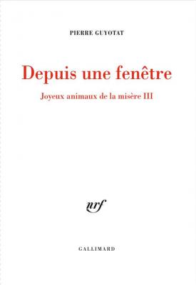 joyeux-animaux-de-la-misere-iii-depuis-une-fenetre