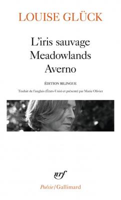 l-iris-sauvage-meadowlands-averno