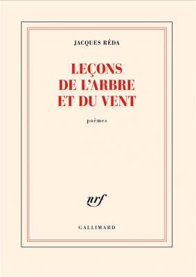 lecons-de-l-arbre-et-du-vent