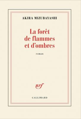 la-forEt-de-flammes-et-d-ombres