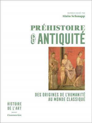 histoire-de-l-art-t01-prehistoire-et-antiquite-des-origines-de-l-humanite-au-monde-classique
