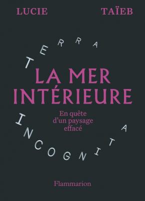 la-mer-interieure-en-quEte-d-un-paysage-efface