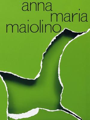 anna-maria-maiolino-je-suis-la-estou-aqui