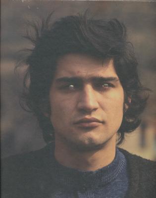 giuseppe-penone-illustrations-couleur