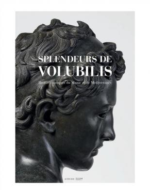 splendeurs-de-volubilis-bronzes-antiques-du-maroc-et-de-mEditerranEe