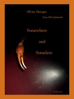 somewhere-and-somehow-olivier-metzger