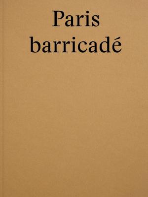 paris-barricade-anna-malagrida-et-mathieu-pernot