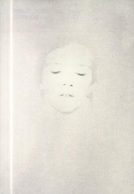 robert-cahen-entrevoir-exposition-musee-d-art-moderne-et-contemporain-de-strasbourg-15-mars-11