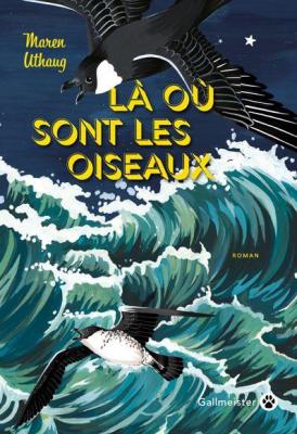 la-ou-sont-les-oiseaux