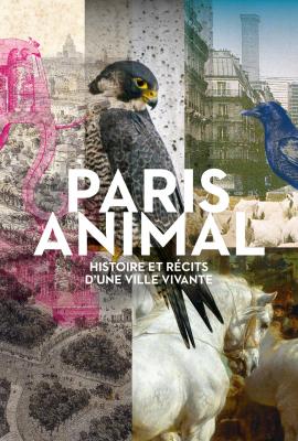 paris-animal