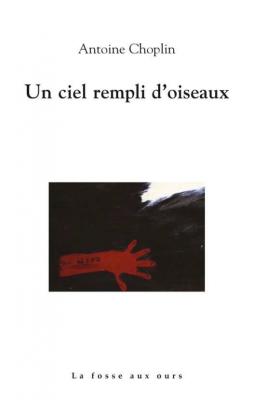 un-ciel-rempli-d-oiseaux