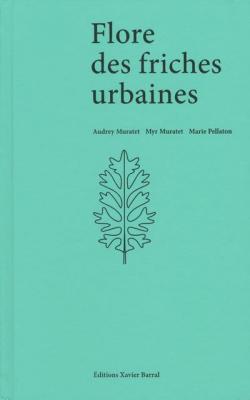 flore-des-friches-urbaines