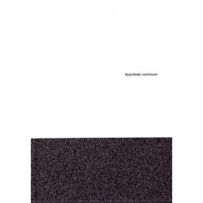 ryoji-ikeda-continuum
