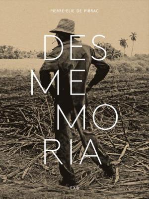 desmemoria-pierre-elie-de-pibrac