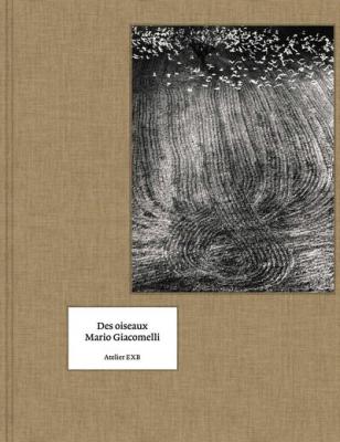 des-oiseaux-mario-giacomelli