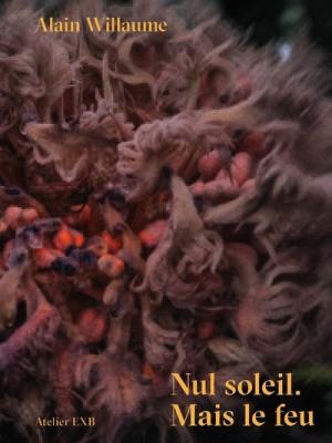 nul-soleil-mais-le-feu-alain-willaume
