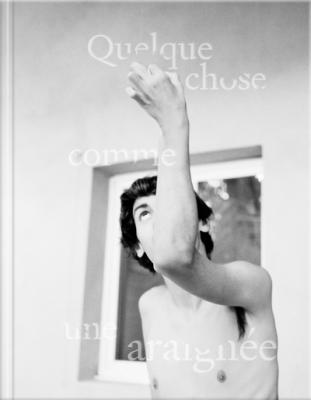 quelque-chose-comme-une-araignee