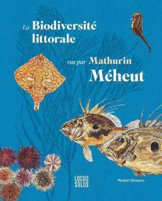 la-biodiversite-littorale-vue-par-mathurin-meheut