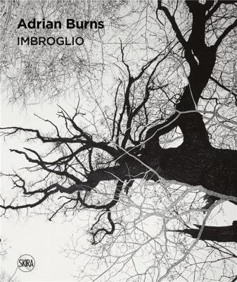 adrian-burns-imbroglio