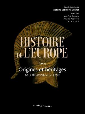 histoire-de-l-europe-vol-1-origines-et-heritages-de-la-prehistoire-au-ve-siecle