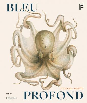 bleu-profond-l-ocean-revele