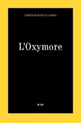 l-oxymore-policier-sans-policier